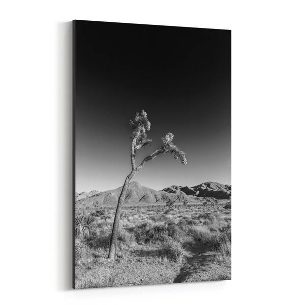 Noir Gallery Joshua Tree California Desert Nature Canvas Wall Art Print