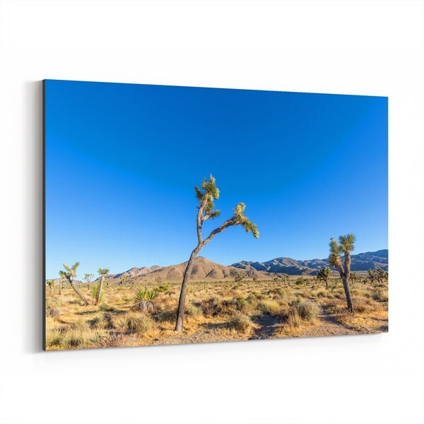 Noir Gallery Joshua Tree California Desert Nature Canvas Wall Art Print