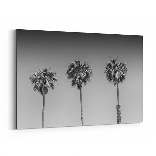 Noir Gallery San Diego California Beach Palm Trees Canvas Wall Art Print