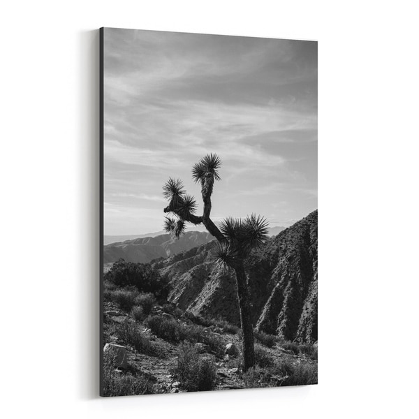 Noir Gallery Joshua Tree National Park California Canvas Wall Art Print
