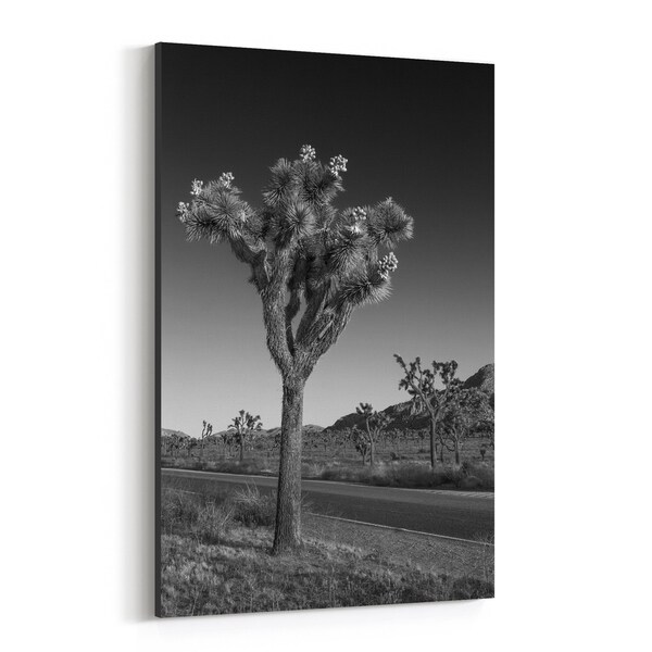 Noir Gallery Joshua Tree California Nature Photo Canvas Wall Art Print