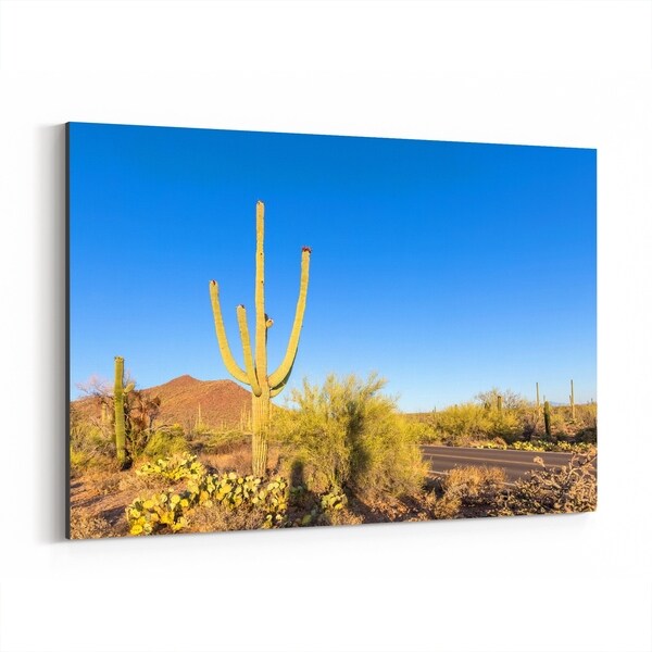 Noir Gallery Saguaro Arizona Cactus Desert Photo Canvas Wall Art Print