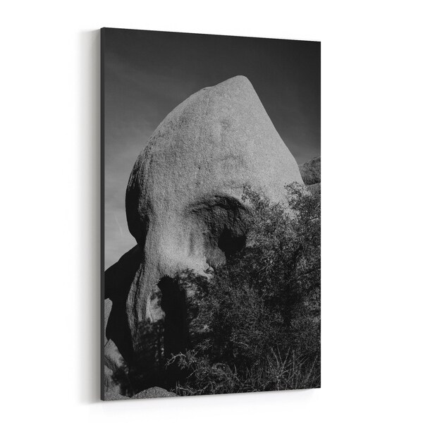Noir Gallery Joshua Tree California Skull Rock Canvas Wall Art Print