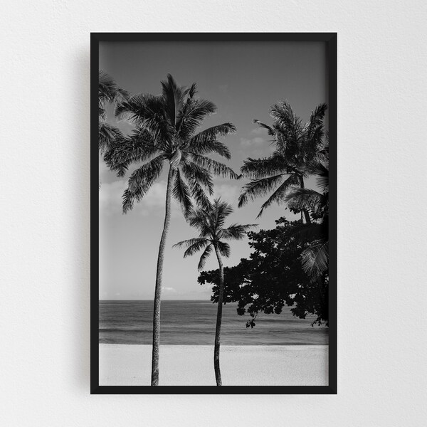 Noir Gallery Oahu Hawaii Beach Palm Tree Photo Framed Art Print