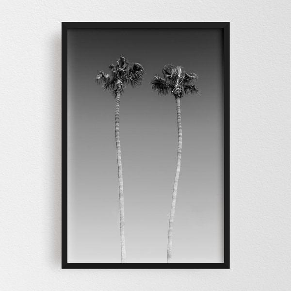 Noir Gallery San Diego California Beach Photo Framed Art Print
