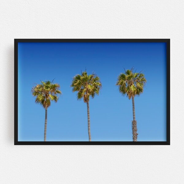 Noir Gallery San Diego California Beach Palm Trees Framed Art Print
