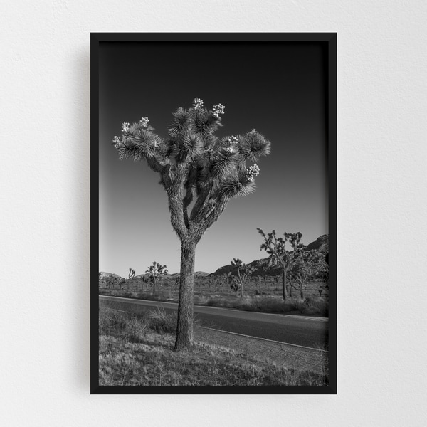 Noir Gallery Joshua Tree California Nature Photo Framed Art Print