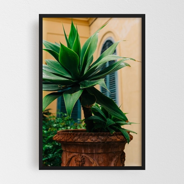 Noir Gallery Positano Italy Floral Nature Photo Framed Art Print