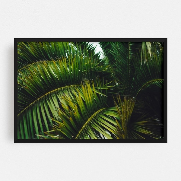 Noir Gallery San Francisco California Beach Palm Tree Framed Art Print