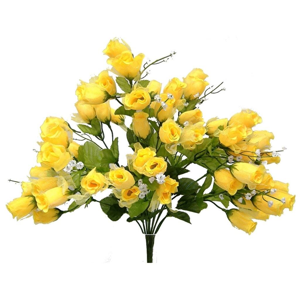 18" Fairy rose bud bush x 14