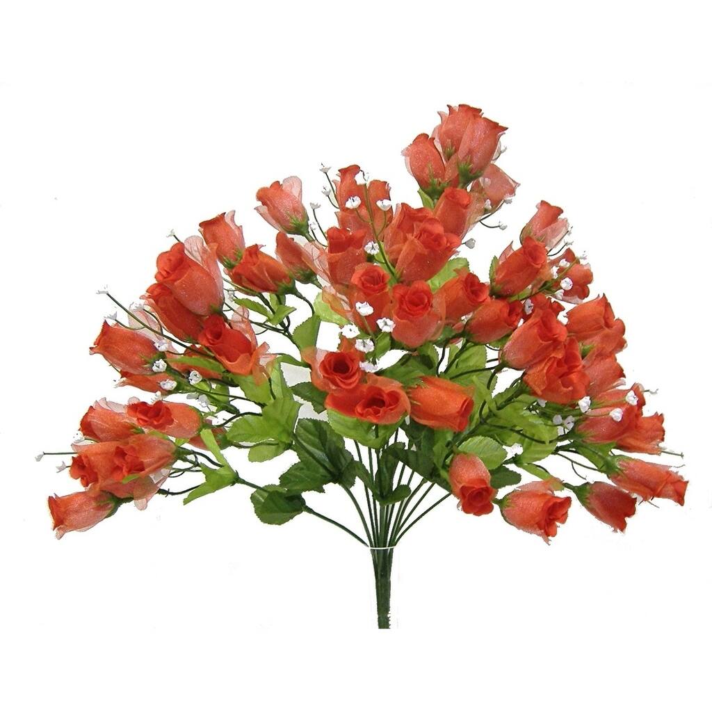 18" Fairy rose bud bush x 14