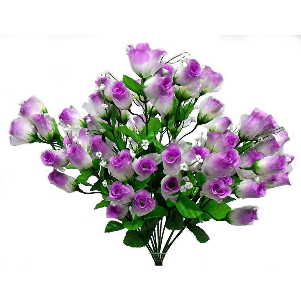 18" Fairy rose bud bush x 14