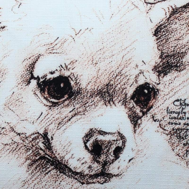 Chihuahua Dog 17x17 Throw Pillow with Polyfill Insert