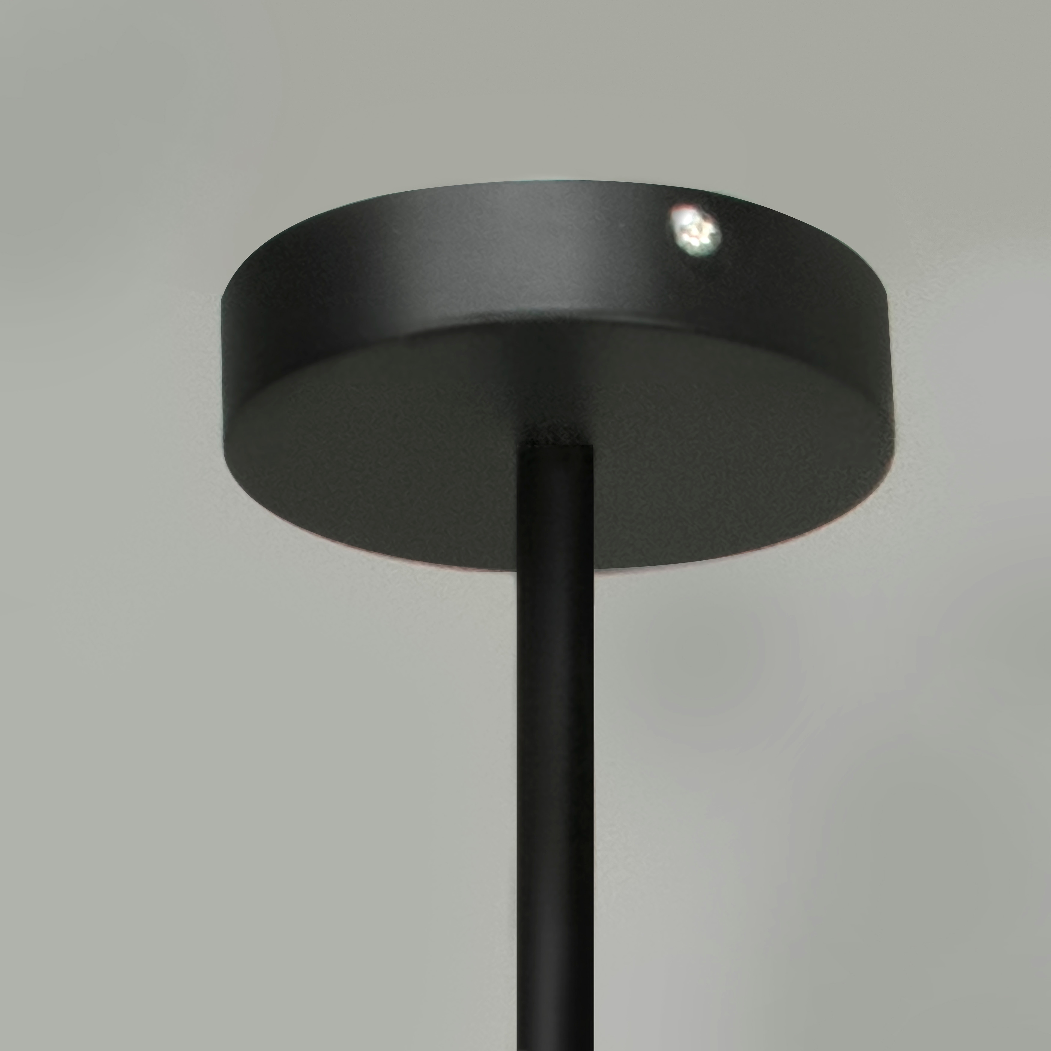 Shop Canyon Home Dragonfly Sputnik Light Fixture 4 Bulb Ceiling