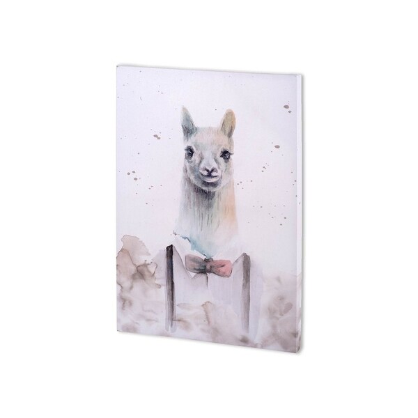 Mercana Llama I (24 x 36 ) Made to Order Canvas Art