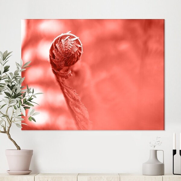 Designart 'Spiral of young fern in spring, close-up' Tropical Canvas Wall Art
