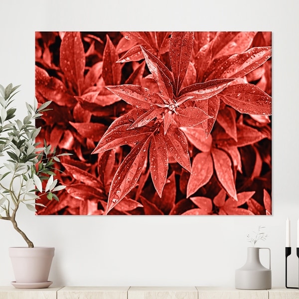 Designart 'Colored fresh peony leaves with dew' Tropical Canvas Wall Art