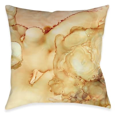 Desert Light Indoor Pillow