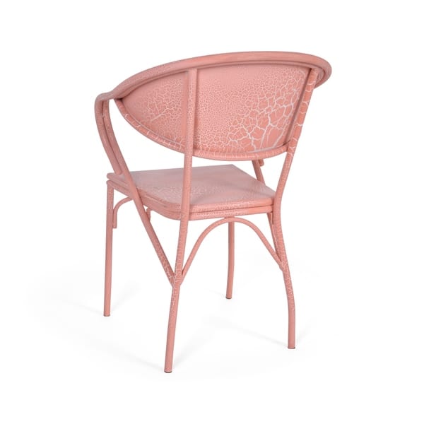 Shop Palm Desert Outdoor Modern Dining Chair Set Of 2 By