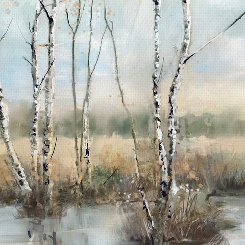 Calm Reflections by Studio Arts Canvas Art