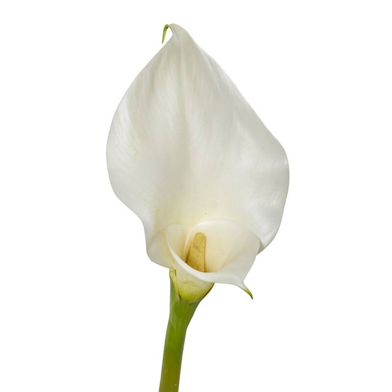 33" Calla Lilly Artificial Flower (Set of 4) Bed Bath & Beyond 29904584