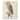 Barn Owl by Unknown Gallery Wrapped Canvas Giclee Art (24 in x 20 in)