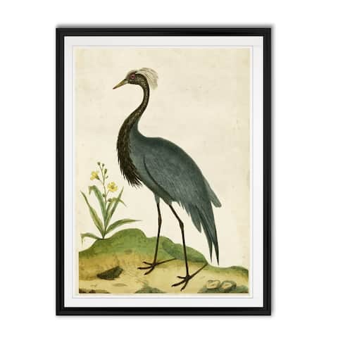 Heron Portrait II -Custom Framed Print