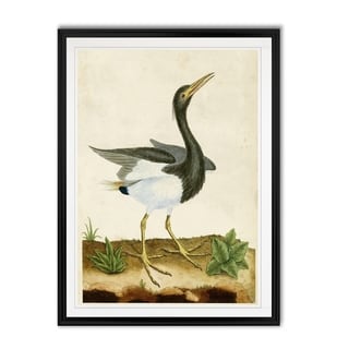 Heron Portrait V -Custom Framed Print - Bed Bath & Beyond - 29918748