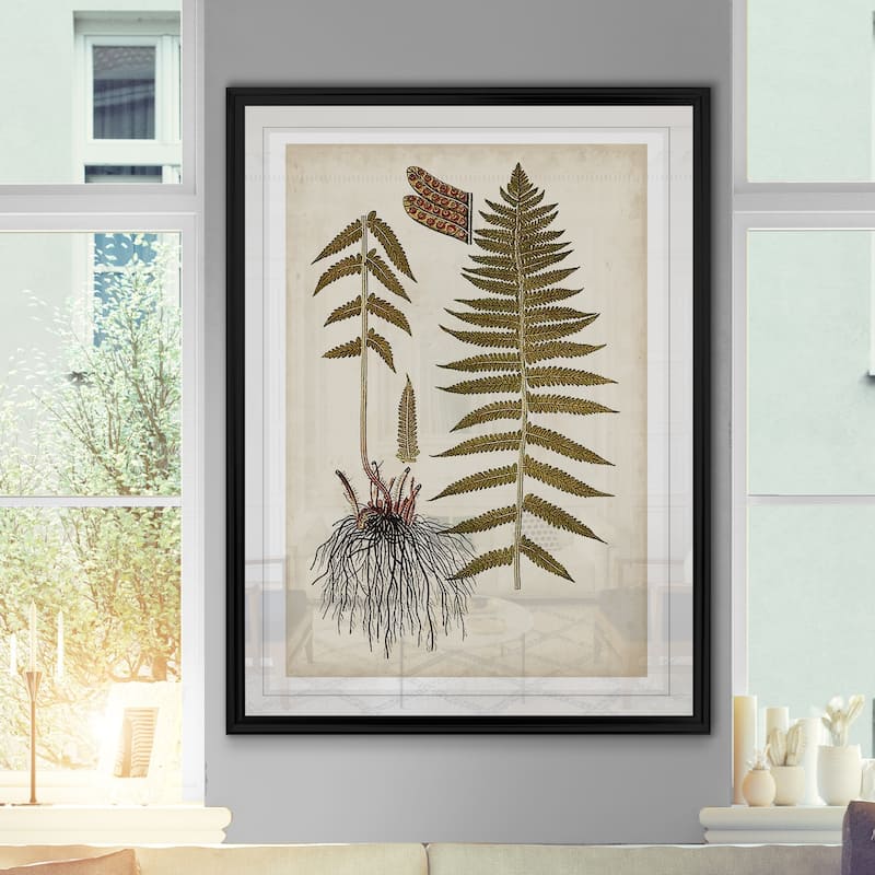 Fern Botanical V -Custom Framed Print