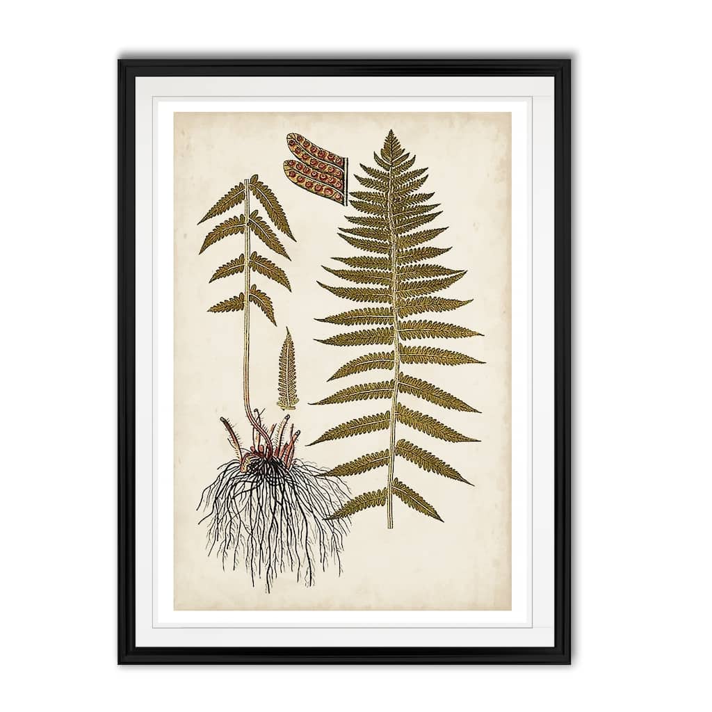 Fern Botanical V -Custom Framed Print