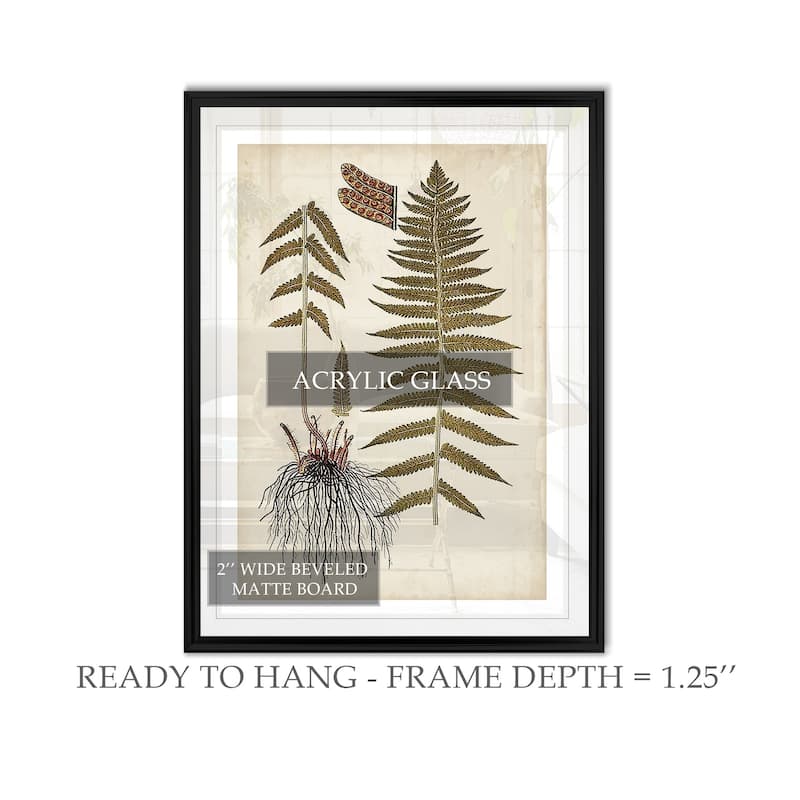 Fern Botanical V -Custom Framed Print