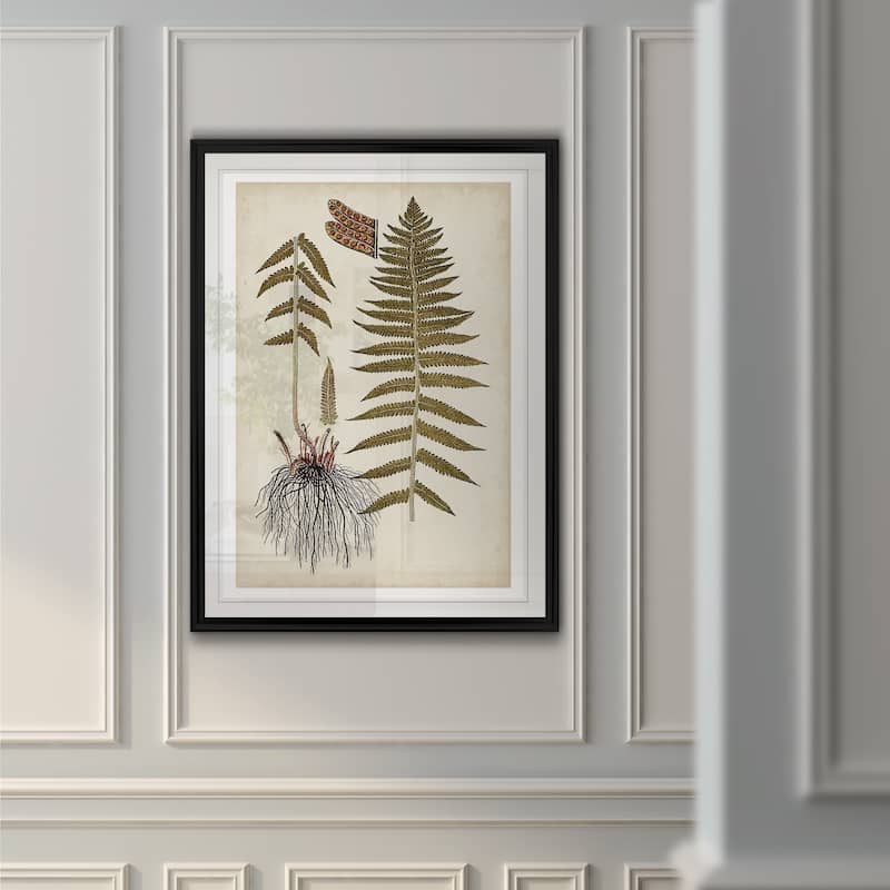 Fern Botanical V -Custom Framed Print