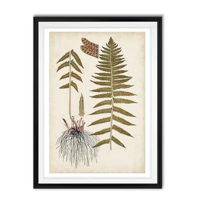Fern Botanical V -Custom Framed Print