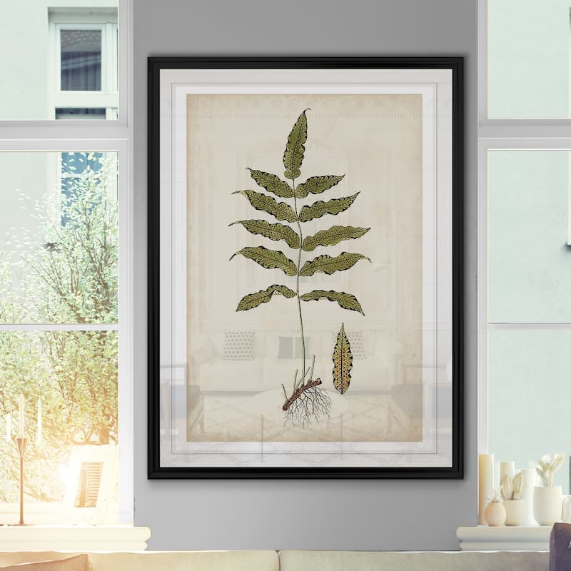 Fern Botanical III -Custom Framed Print