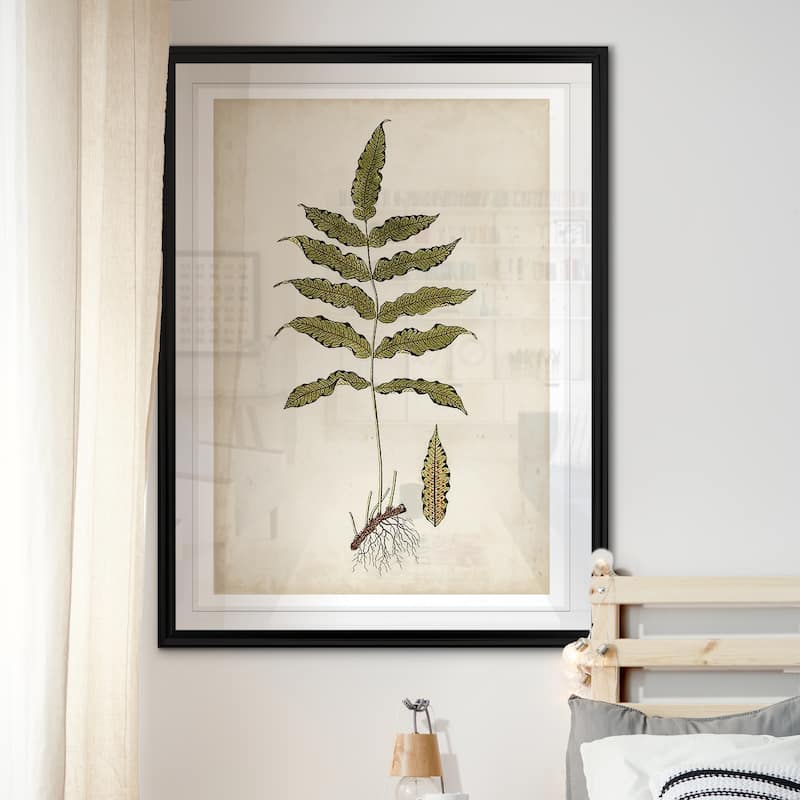 Fern Botanical Iii -custom Framed Print - Bed Bath & Beyond - 29918769