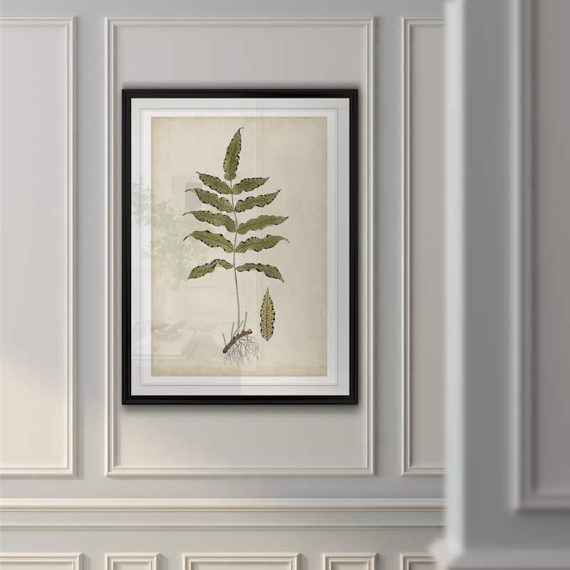 Fern Botanical Iii -custom Framed Print - Bed Bath & Beyond - 29918769