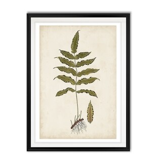 Fern Botanical Iii -custom Framed Print - Bed Bath & Beyond - 29918769