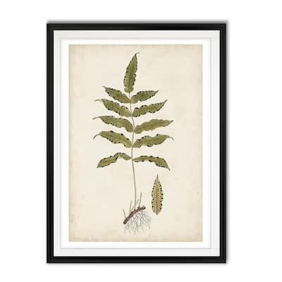 Fern Botanical III -Custom Framed Print