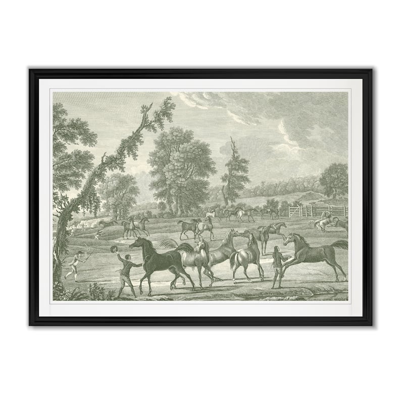 Equestrian Scenes III -Custom Framed Print