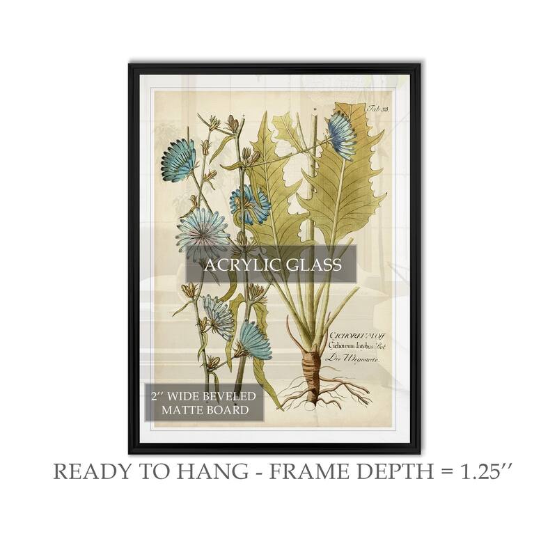 Eloquent Botanical I -Custom Framed Print