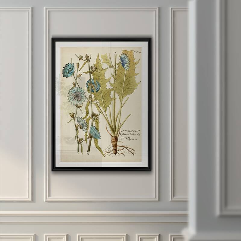 Eloquent Botanical I -Custom Framed Print