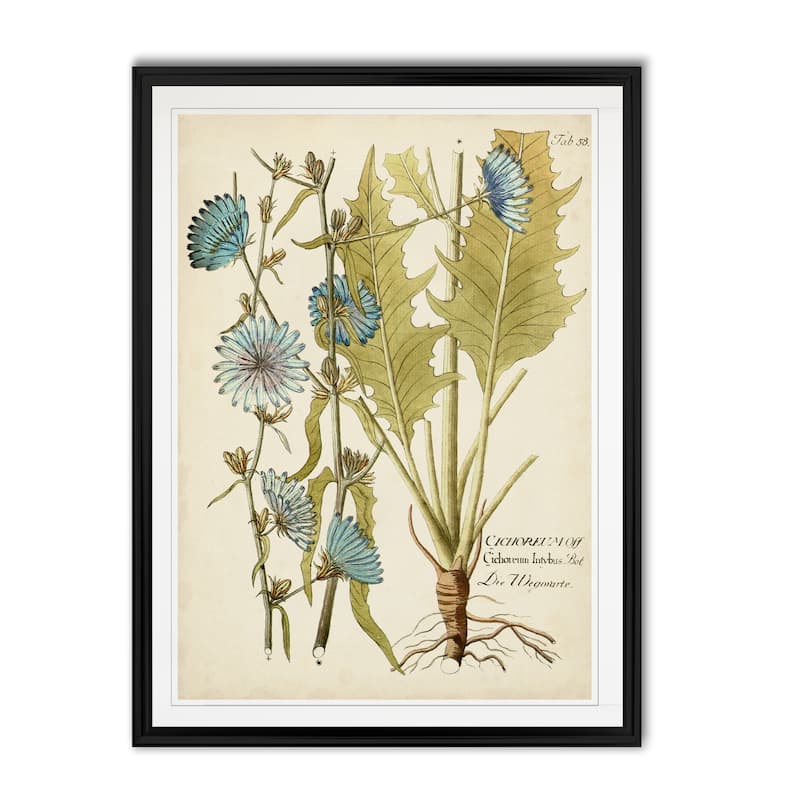 Eloquent Botanical I -Custom Framed Print