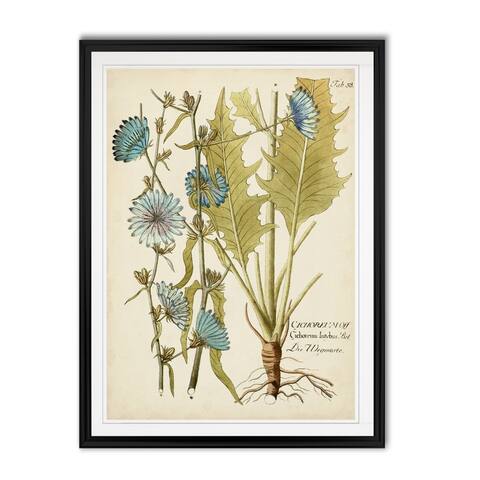 Eloquent Botanical I -Custom Framed Print