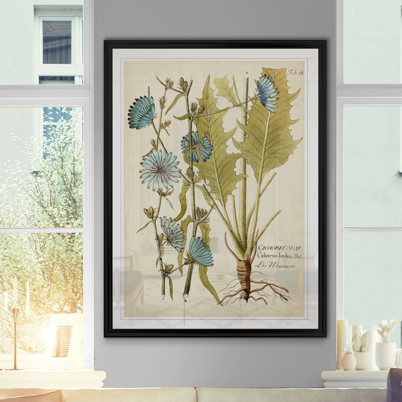 Eloquent Botanical I -Custom Framed Print