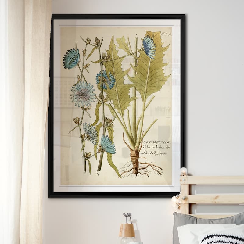 Eloquent Botanical I -Custom Framed Print