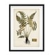 Fern Botanical Iv -custom Framed Print - Bed Bath & Beyond - 29918796