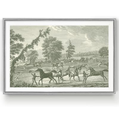 Equestrian Scenes III -Custom Framed Print