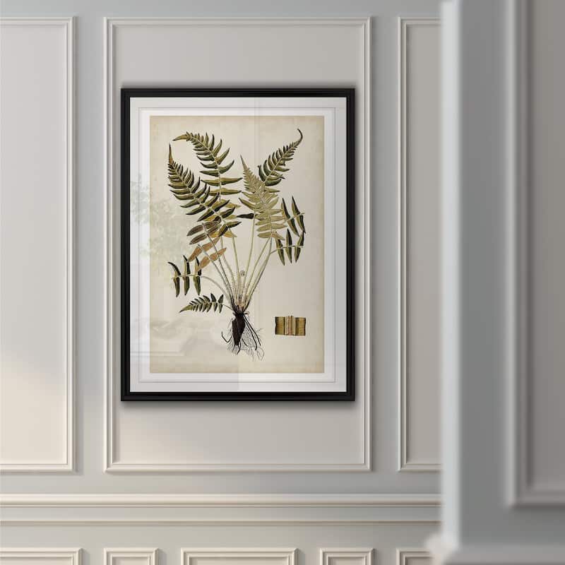 Fern Botanical IV -Custom Framed Print