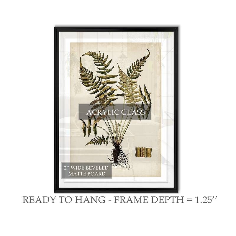 Fern Botanical IV -Custom Framed Print