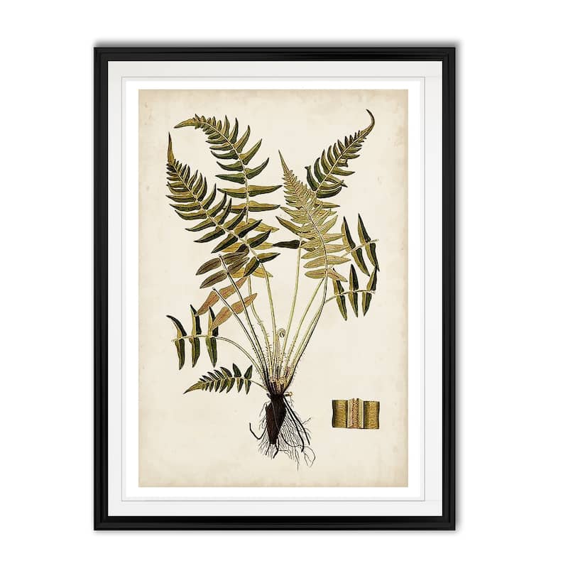 Fern Botanical IV -Custom Framed Print